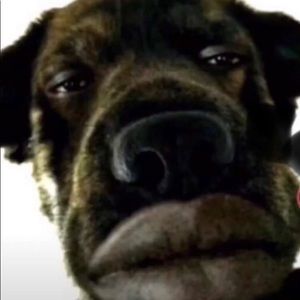 Meet your Posher, Paul